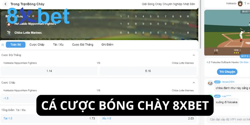Thể thao 8xbet - Hành trình cá cược thể thao đỉnh cao Cá cược bóng chày sở hữu lượng người chơi ổn định