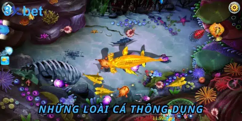 Những loài cá thông dụng